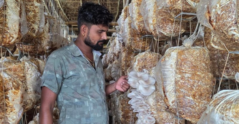 सुनसरी बराहक्षेत्रका रोशन च्याउखेतीबाट वार्षिक १५ लाख आम्दानी गर्छन्