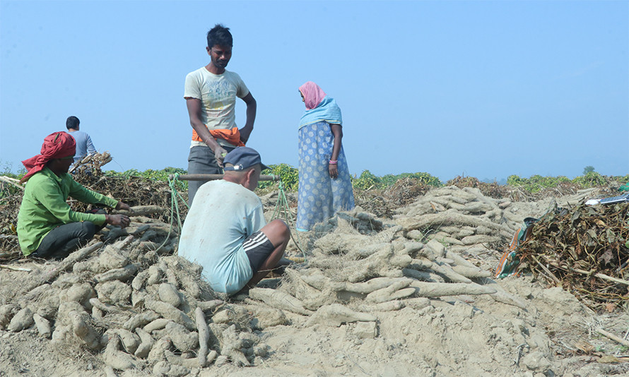 बागमती किनारका  किसानलाई तरुलखन्न भ्याइनभ्याई