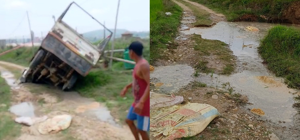 मकवानपुरमा हेर्दाहेर्दै खाल्डोमै बिलायो गाडी