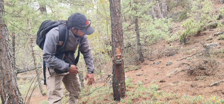 मुस्ताङको तीन पालिकामा हिउँ चितुवा सर्वेक्षण
