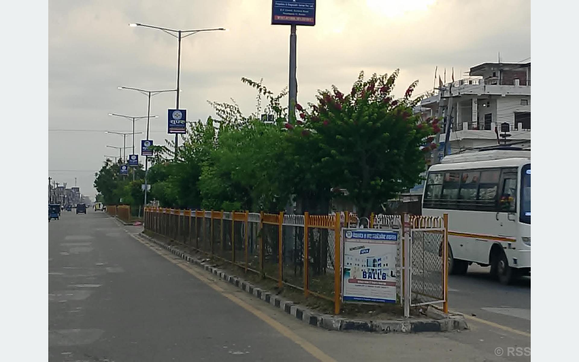 गुलमोहर र बेगमबेलीले सजिँदै नेपालगञ्ज