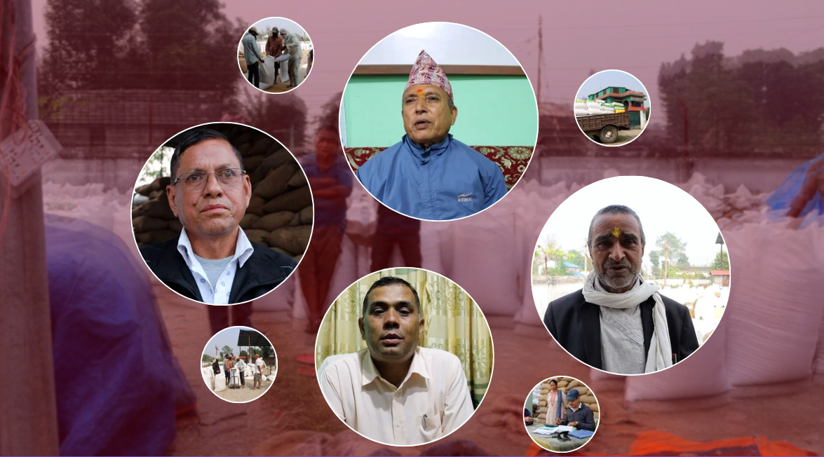 बर्दियामा सहकारी द्वारा समर्थन मूल्यमै धान खरिद, किसानलाई राहत