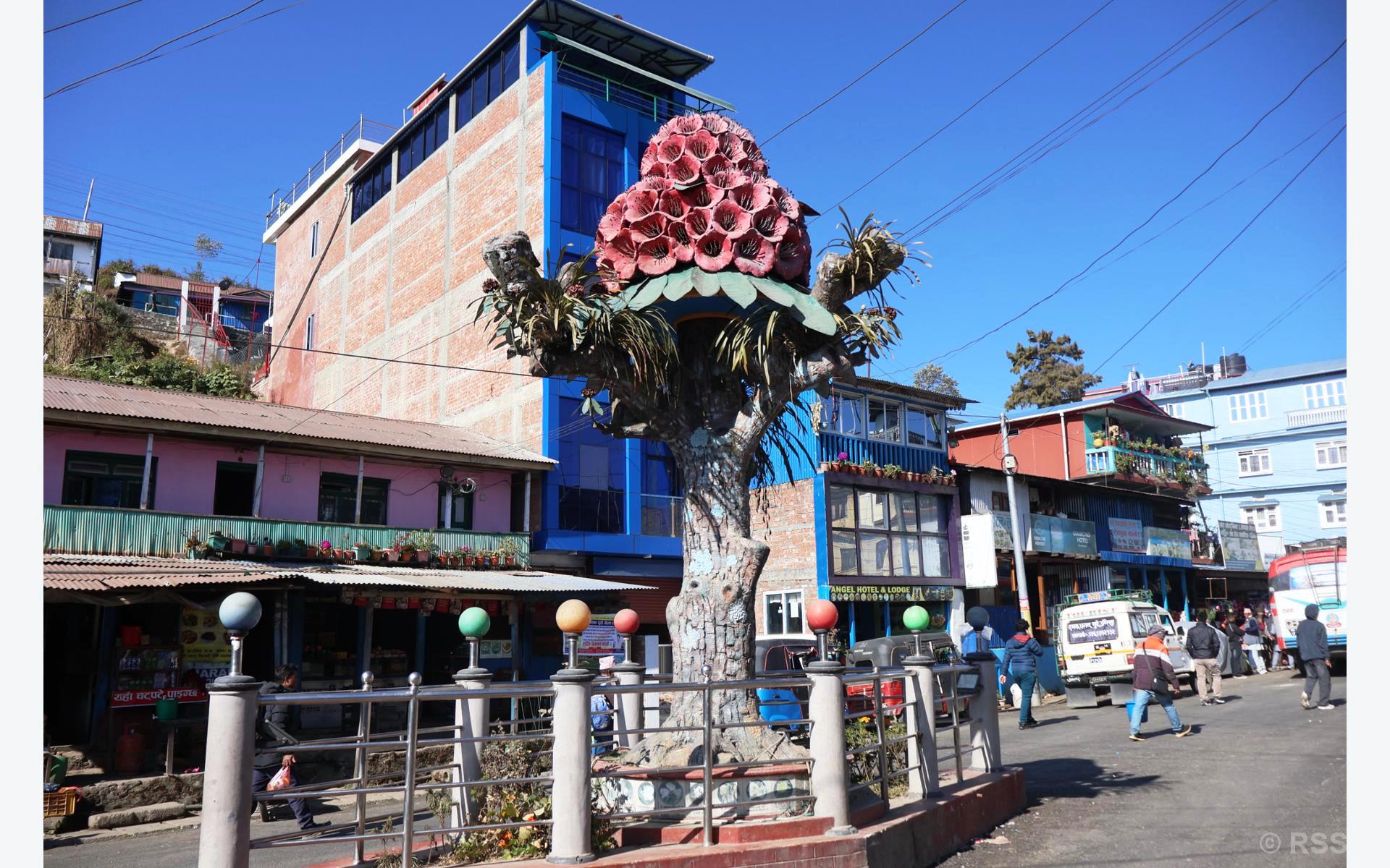 स्थानीय पहिचान झल्काउने तेह्रथुमको लालीगुराँस  ‘स्तम्भ’