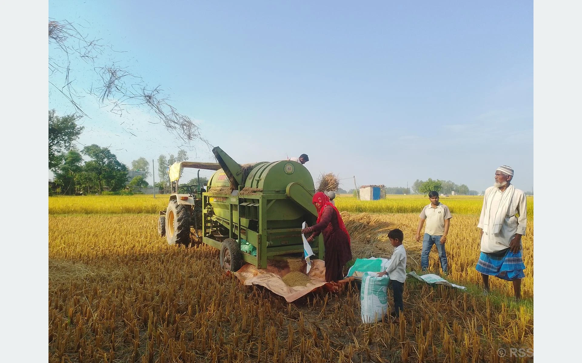 थ्रेसर मेसिन चलाएर गाउँमै स्वरोजगार, अमजतको कमाइ धानबालीको सिजनमा डेढ लाख