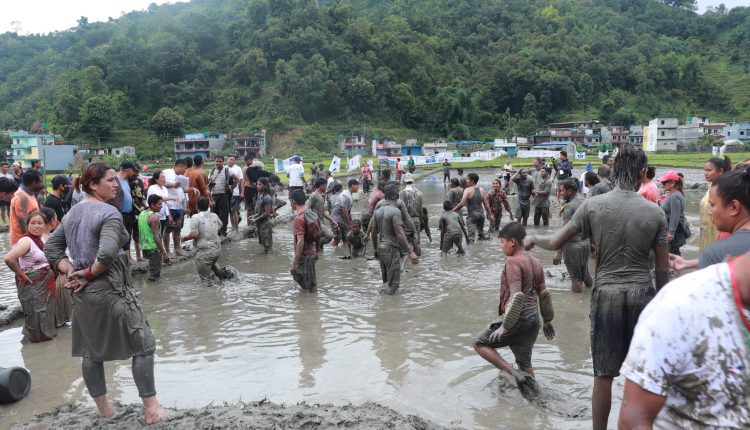बेमौसममा पनि पर्यटकलाई लोभ्याउँदै पोखराको ‘असारे रोपाइँ महोत्सव’