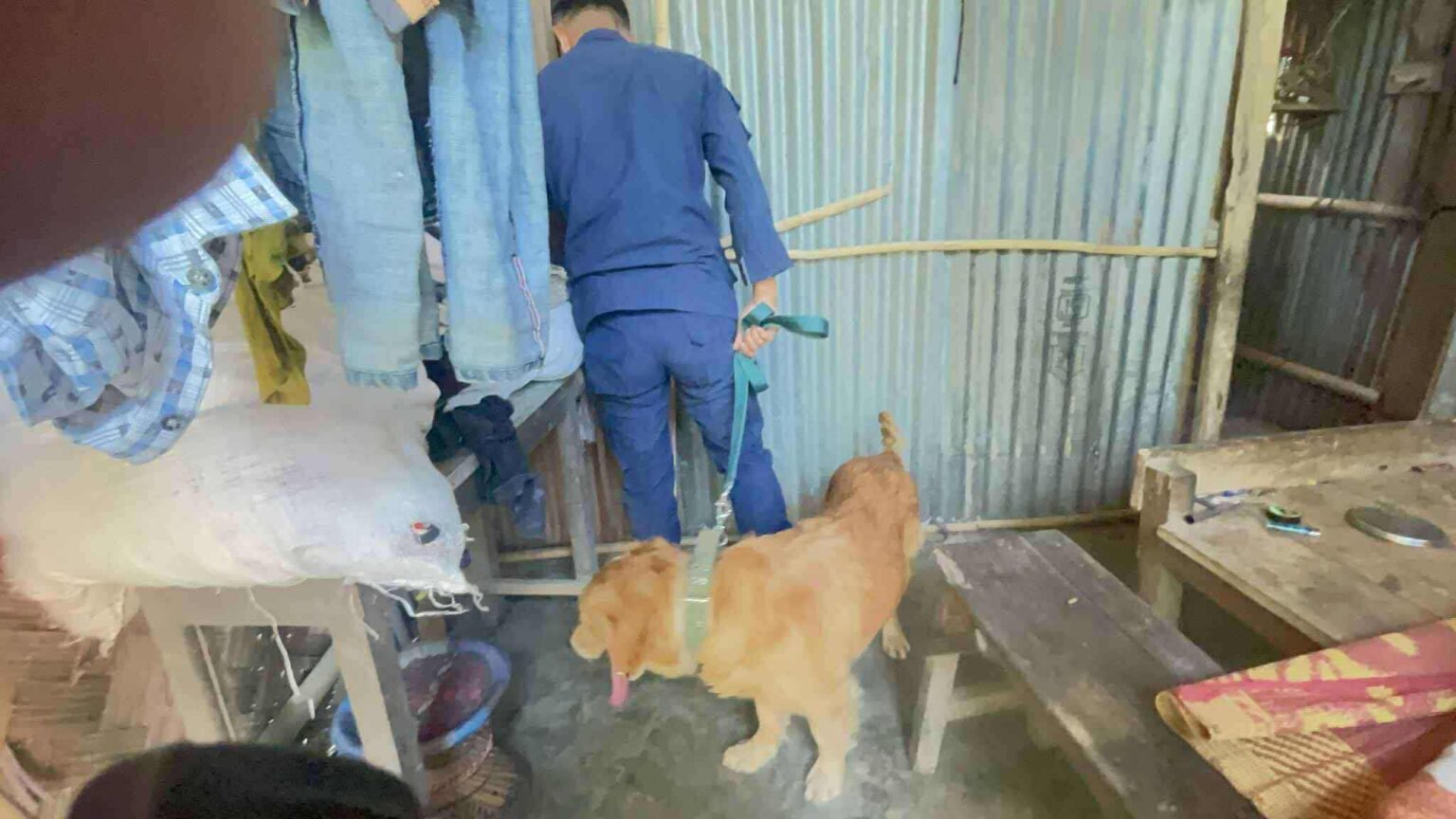 मेचीनगरमा डग स्न्यापिङ, १२ जना लागुऔषध सेवनकर्ता पक्राउ