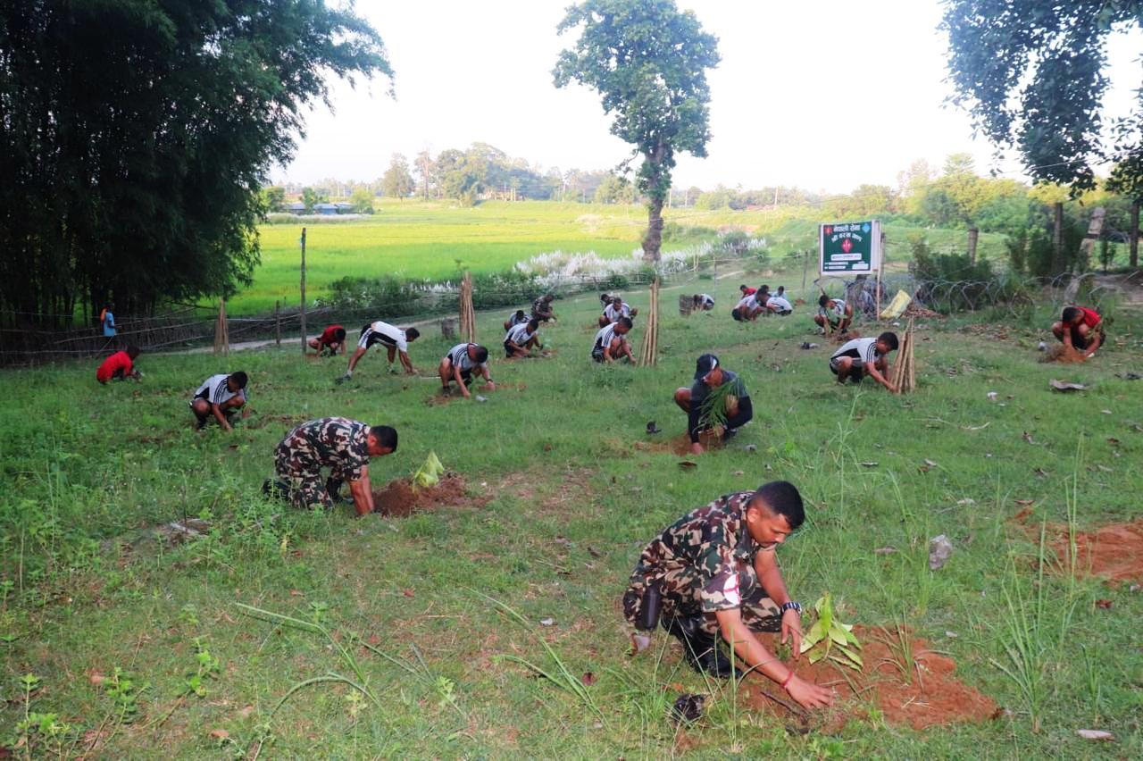 प्रकृति संरक्षणमा नौ हजार सेना