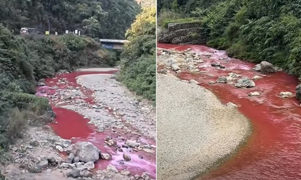 पाल्पामा पूरै खोला राताम्य भएपछि…