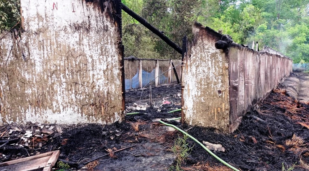 आगलागीबाट कुखुरा फर्ममा करिब ११ लाख ४० हजारको क्षति