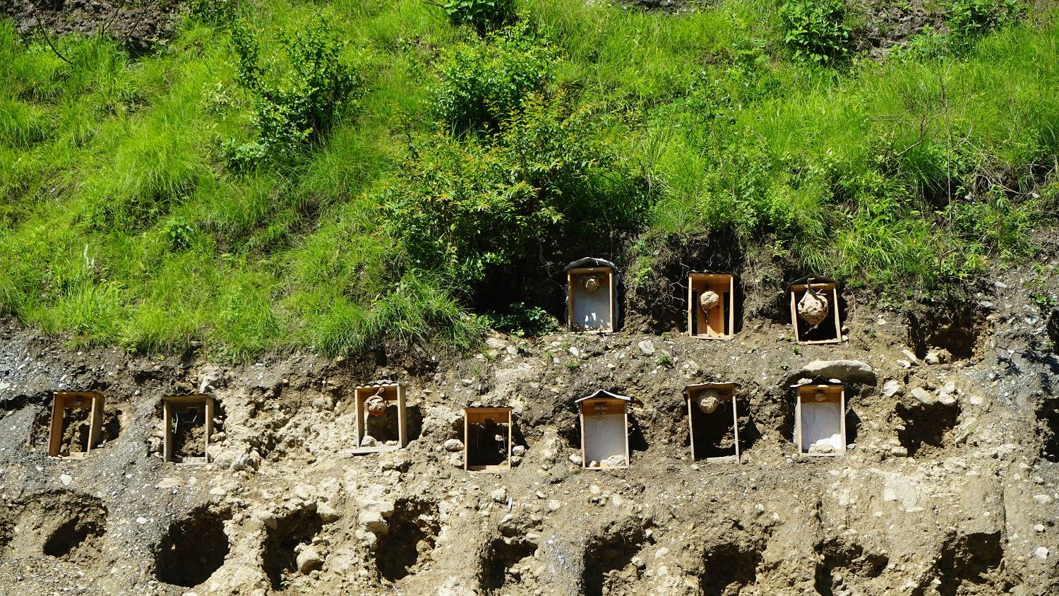 अरिङ्गालबाट आम्दानी : म्याग्दीका शाही दम्पतीको नयाँ उद्यम