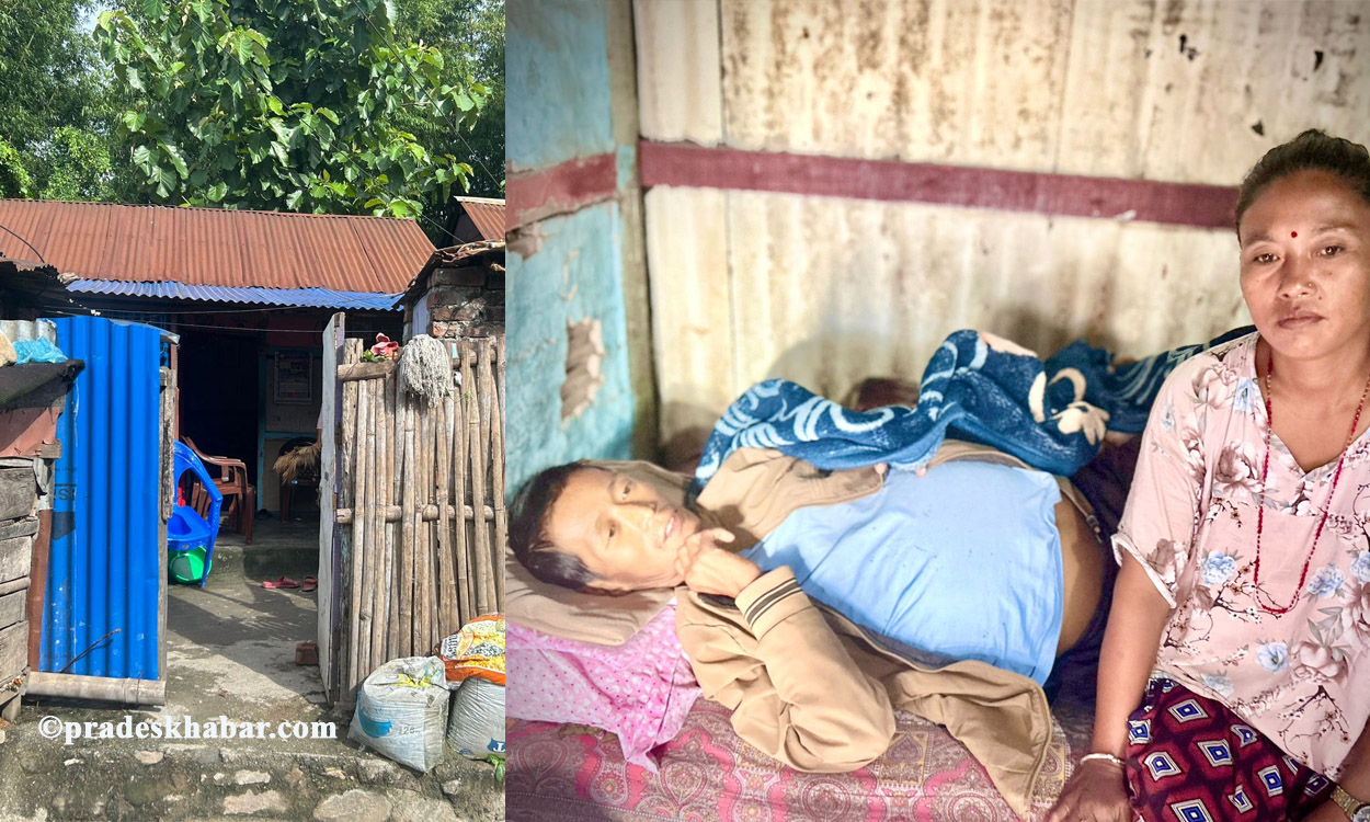 दाउरा बेचेर घर चलाउने धरानका रोशनलाई अब चाहिएको छ जीवन दान