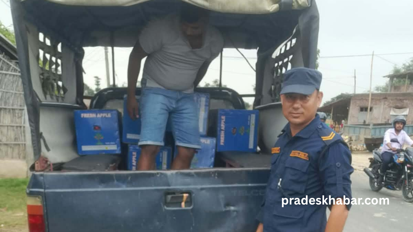 झापामा स्याउ तस्करीको तयारीमा सशस्त्रको छापा : घरभित्रैबाट १ हजार किलोभन्दा बढी स्याउ बरामद