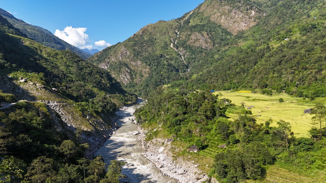 माथिल्लो अरुण आयोजना निर्माणका लागि दुई हजार बढी रुख काटियो