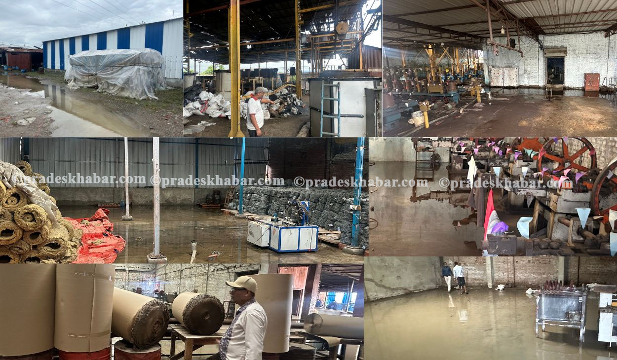 सुनसरी–मोरङ औद्योगिक कोरिडोरमा बाढीको कहरः करोडौको क्षति, उत्पादन ठप्प