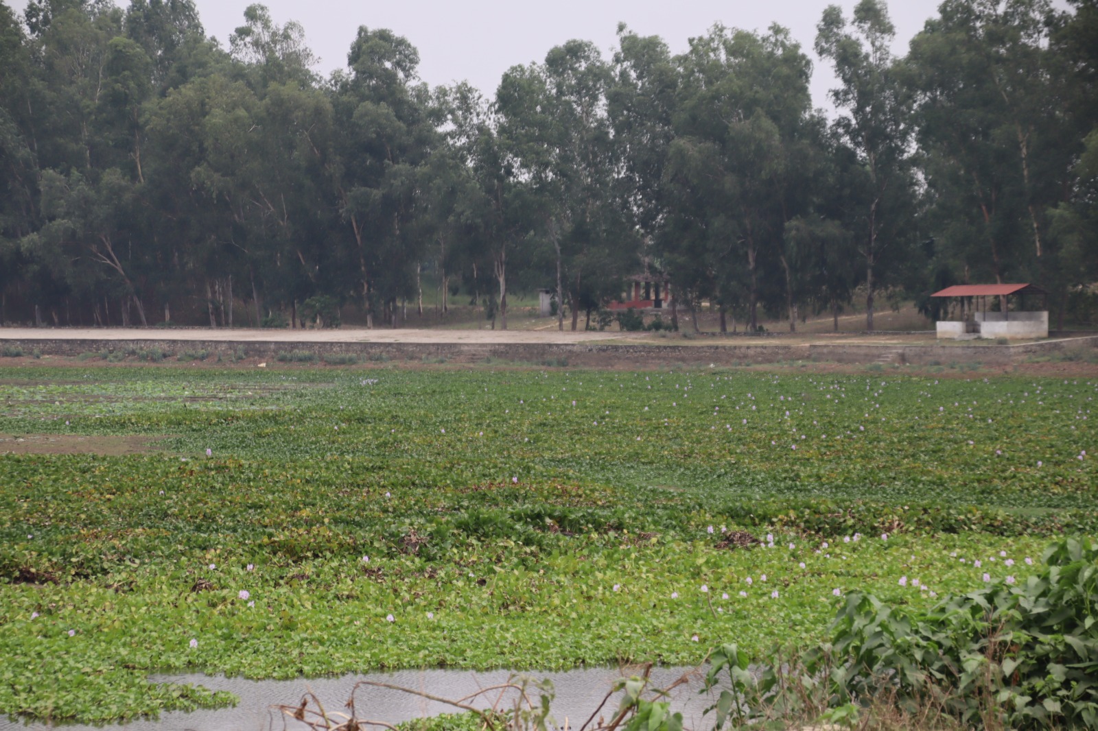 कोशी प्रदेशका सामुदायिक वनक्षेत्रमा पर्यापर्यटनको गविविधि बढ्दै