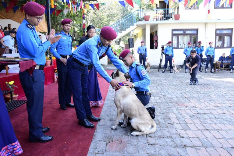 विमानस्थलमा गाँजा समात्ने ‘घुङ्ग्रु’लाई उत्कृष्ट अवार्ड