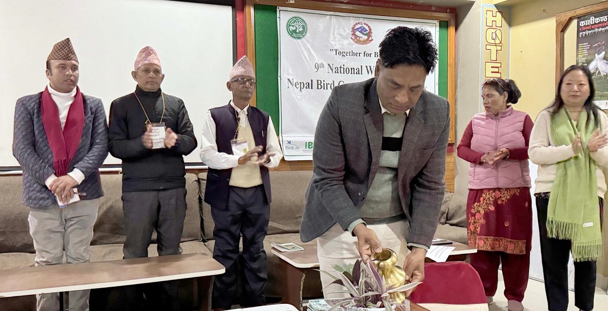 दुर्लभ चरा संरक्षणमा चासो