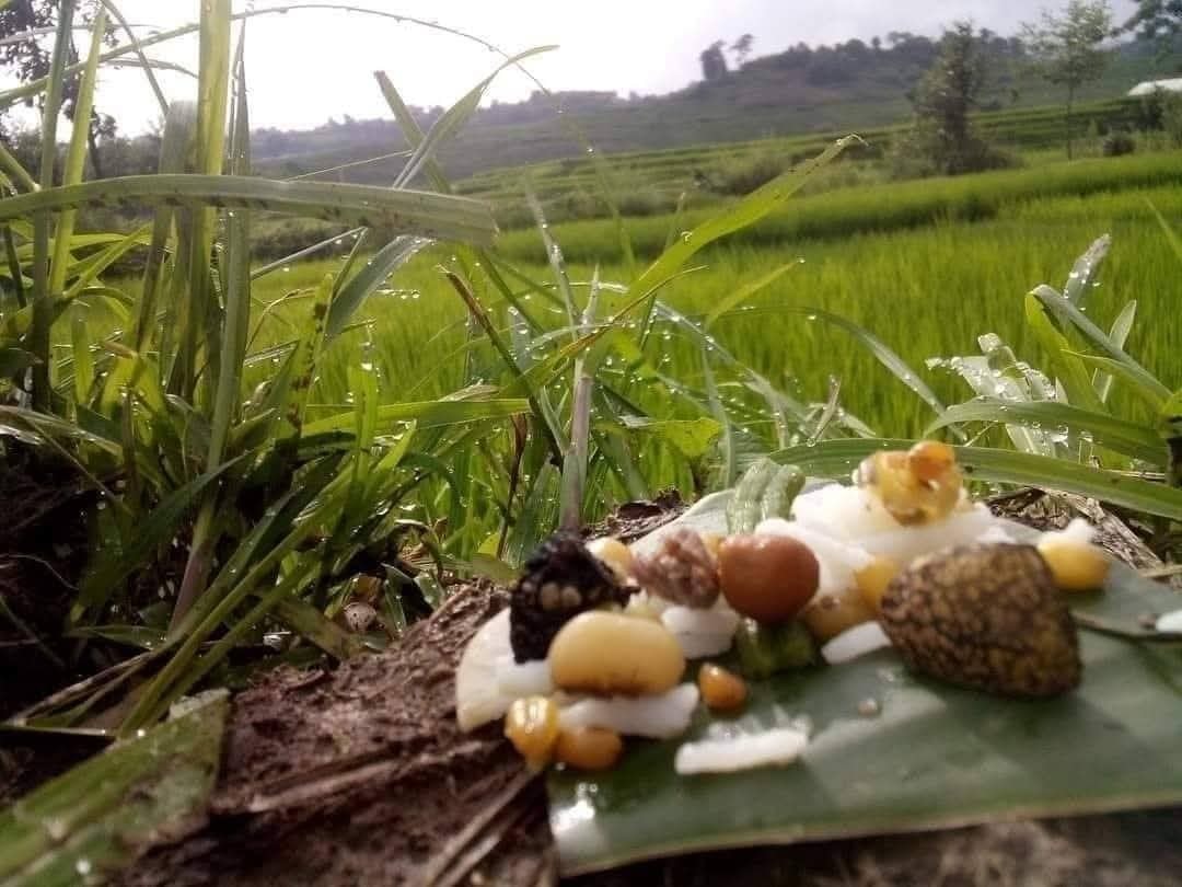 भक्तपुरमा ‘भ्यागुतालाई भात’ खुवाउने अनौठो परम्परा