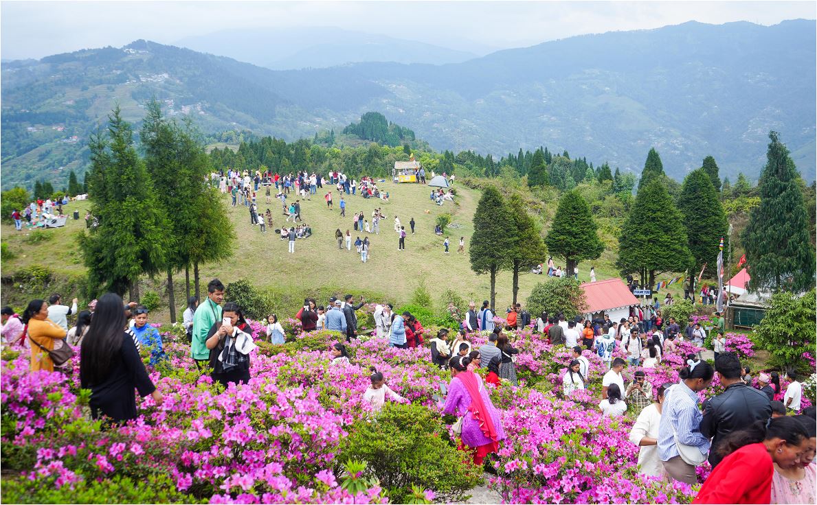 तस्विरमा, कोशी प्रदेशका रमणीय स्थलहरु