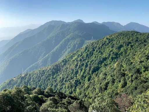 कार्बन साझेदारी कोषबाट नेपाललाई एक अर्ब १९ करोड प्राप्त