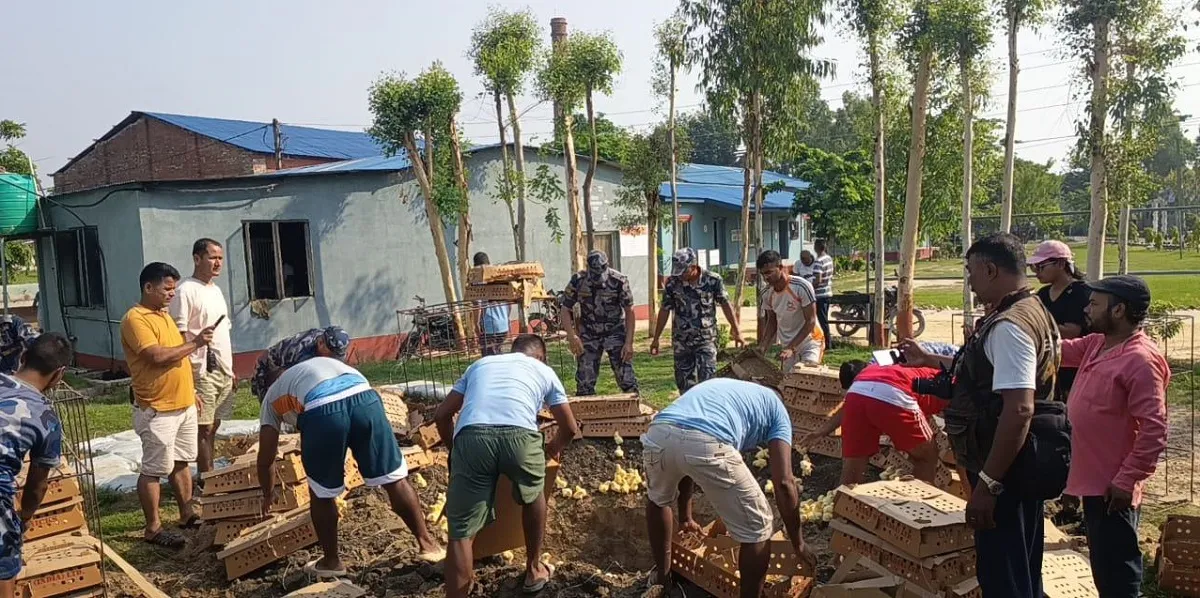 सशस्त्र प्रहरीद्वारा साढे सात हजार कुखुराका चल्ला नष्ट