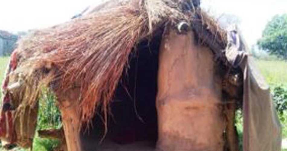 कञ्चनपुरमा ३९ वटा छाउगोठ भत्काइयो, फेरि बनाउलान् भन्ने चिन्ता