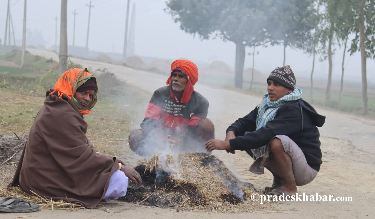 मधेशमा चिसोको कहर, जनजीवन प्रभावित