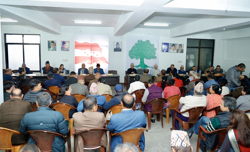 चुनावमा भाग लिने कांग्रेसको औपचारिक निर्णय