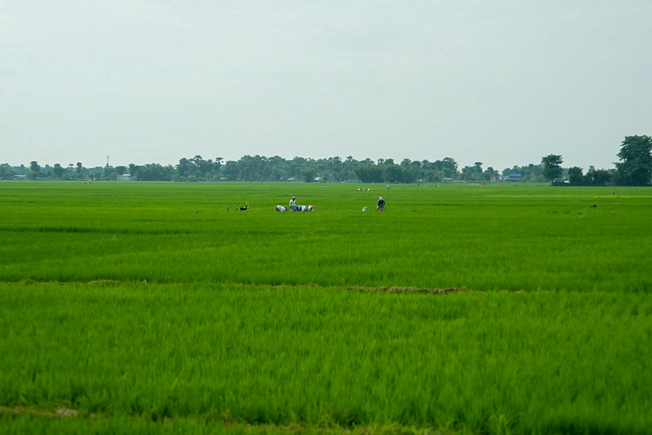 dhan godne 2
