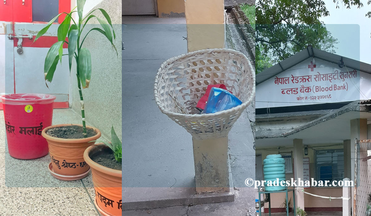 बिपी प्रतिष्ठानमा सकारात्मक परिवर्तन : हरियाली, रक्तदान र सरसफाइले फैलाउँदै सन्देश