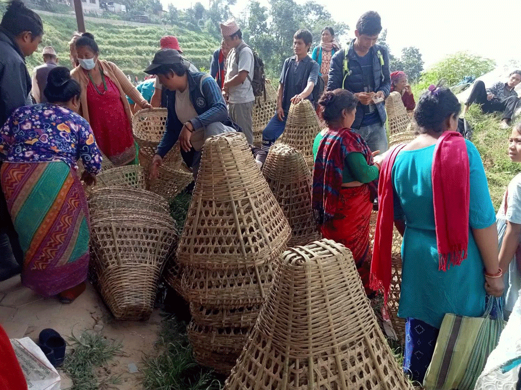डोका बिक्रीबाट मासिक ४० हजार आम्दानी गर्दै भोजपुर तामाङ