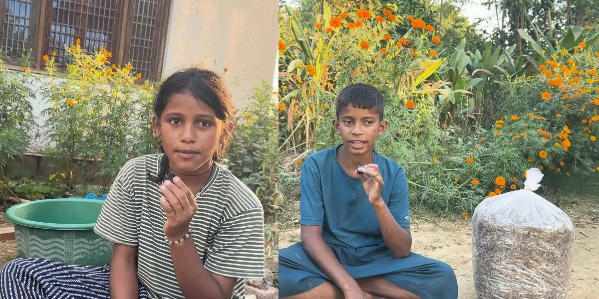 स्कुलमा सिकेको सीप घरमै प्रयोग, च्याउ खेतीबाटै खर्च जुटाउँदै कृष्णपुरका सुशान्त र सम्झना