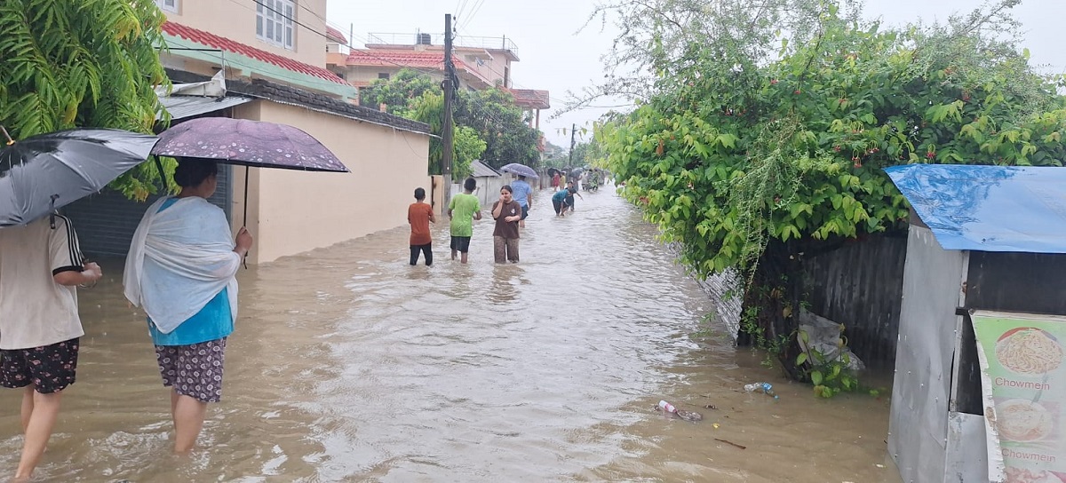 लगातारको वर्षापछि धनगढीलगायत आसपासका क्षेत्र जलमग्न