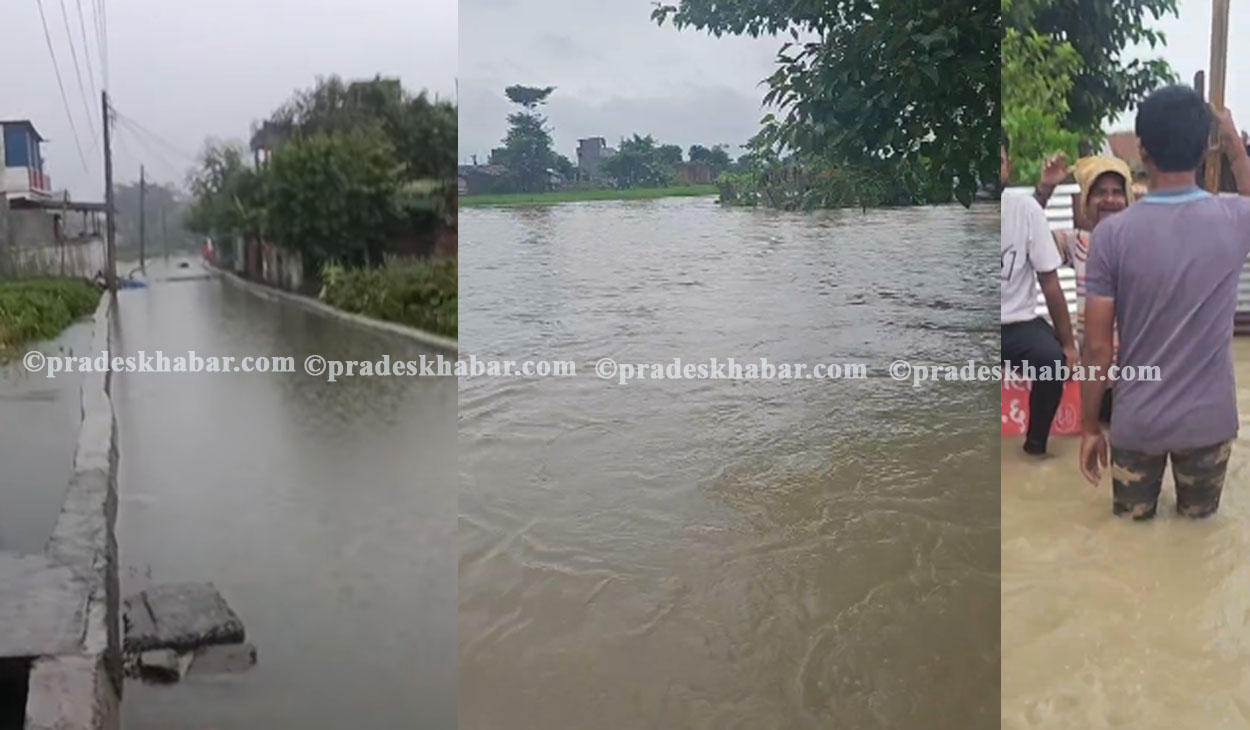 मोरङमा बाढीले विस्थापित सयौं परिवार, खोलाको बाँध भत्किँदा बस्ती डुबानमा