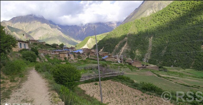 छ महिनापछि घर फर्किए तिङ्करवासी