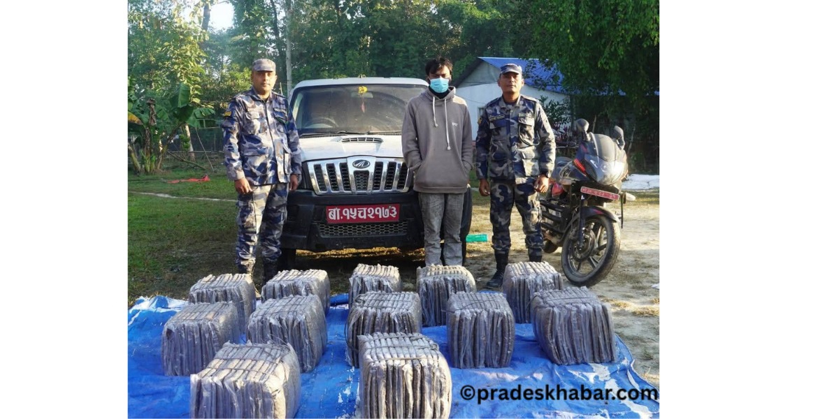 सुनसरीमा हवाई फायर गरी गाँजा बोकेको सवारी नियन्त्रणमा
