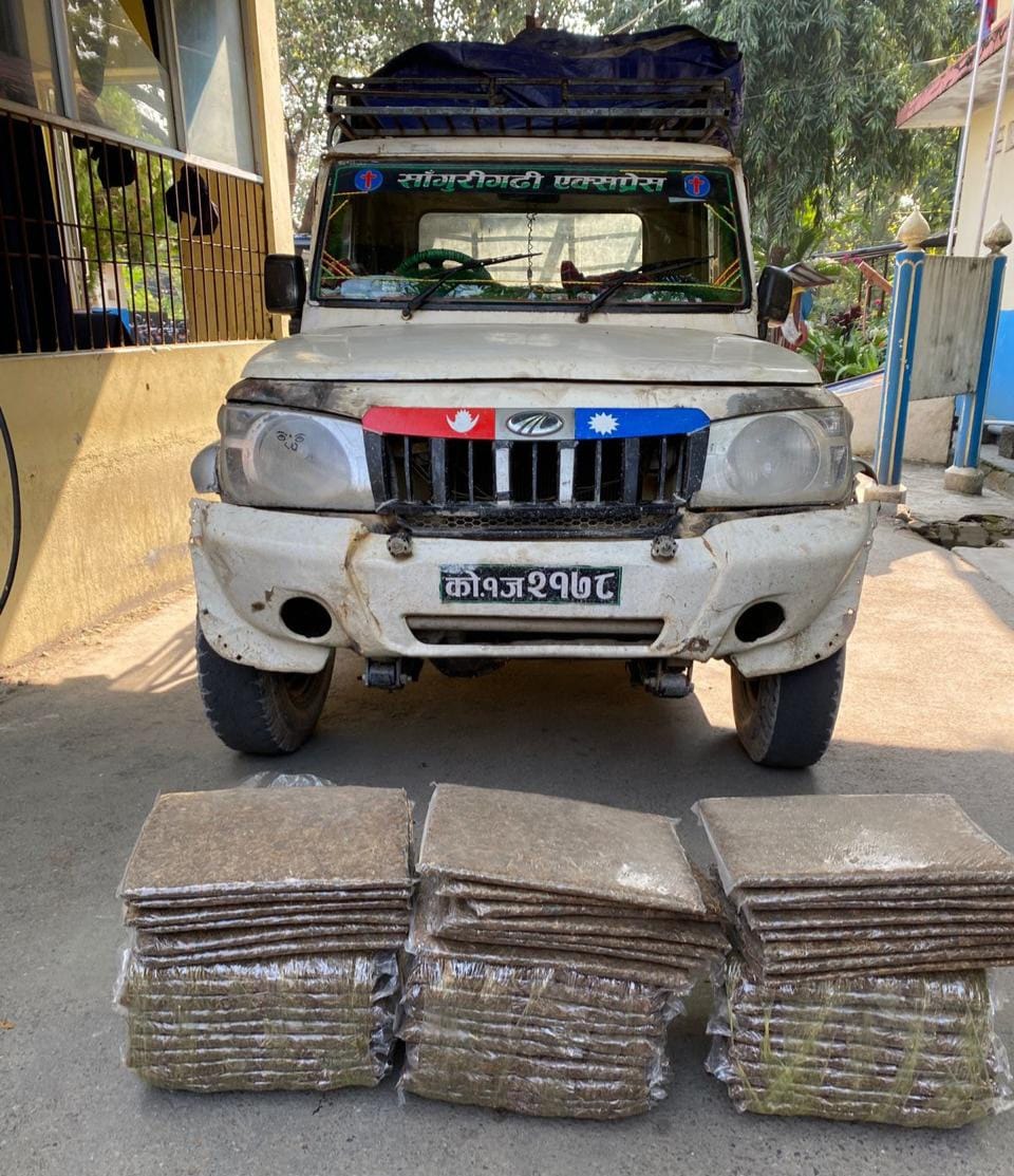 अवैद्य गाँजा सहित दुई जना पक्राउ