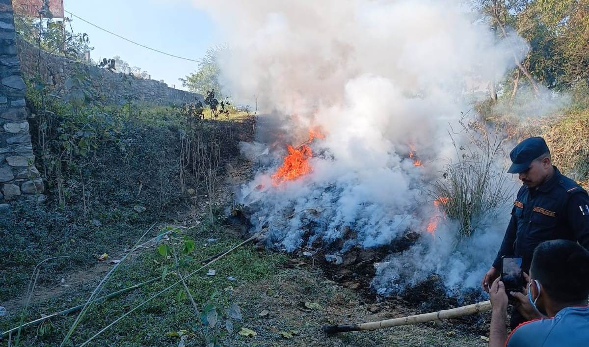 विराटनगरमा तीन वर्षदेखि प्रहरीको गोदाममा थन्किएको तीन हजार किलो गाँजा जलाएर नष्ट