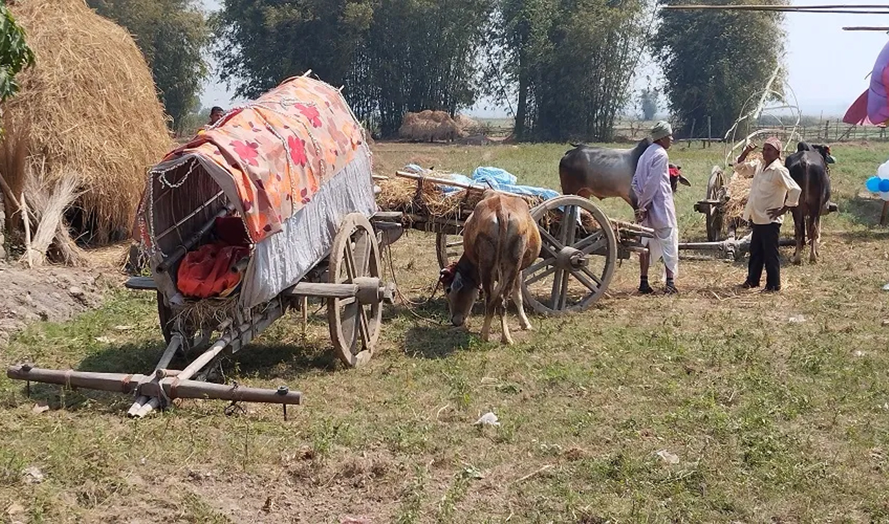 तराईको जीवनसाथी गोरु–राँगा गाडी लोपोन्मुख