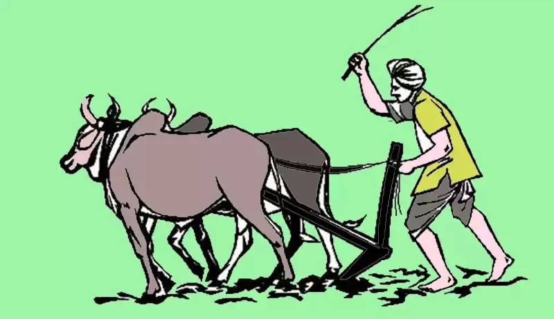 मुक्तिका १७ वर्षः अझै पूरा भएन मुक्त हलिया पुनःस्थापना