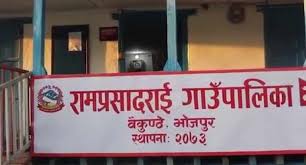 भोजपुरको रामप्रसाद राई गाउँपालिका साकेला सिली संरक्षणमा जुट्दै