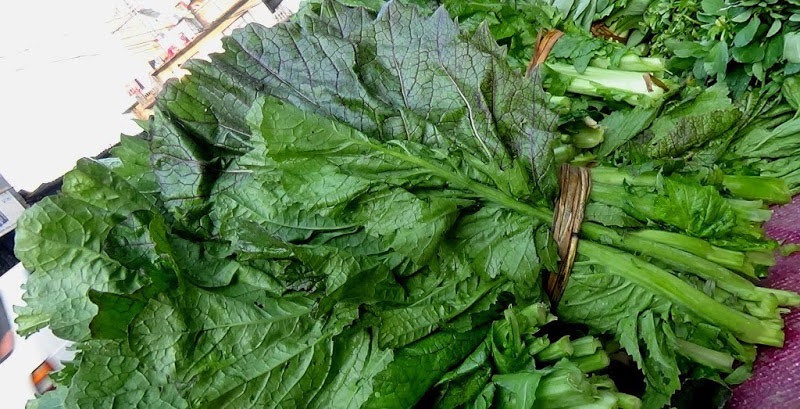 काठमाडौंमा सागमा भेटियो ९९ प्रतिशत विषादी