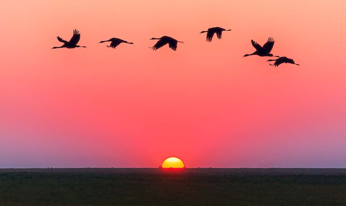 नयाँ वर्ष सन् २०२६ सुरु