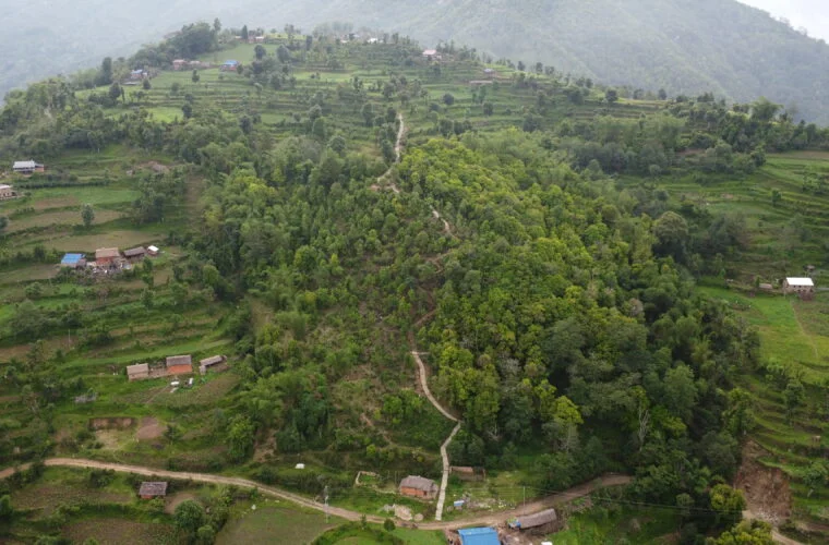 भोजपुरको वाक्चाखामा ‘जाल्पादेवी गुराँस पदमार्ग’ निर्माण