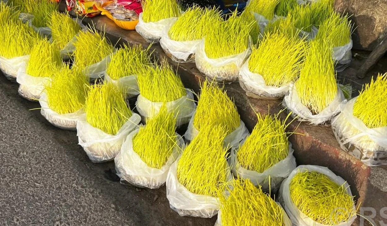 ठमेलमा विदेशी पर्यटकले पनि लगाए दसैँको टीका र जमरा
