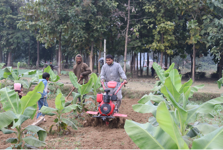 शिक्षण पेसासँगै कृषिमा रमाउँदै सर्वेन्द्र