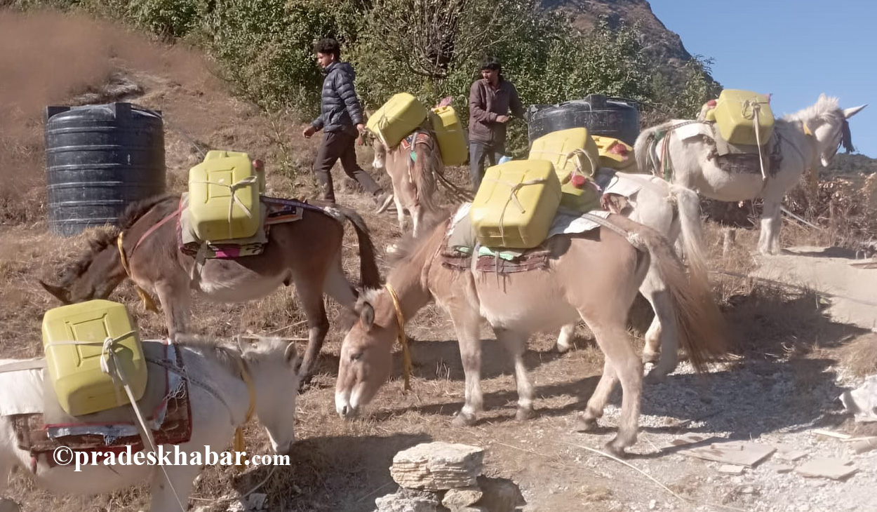 खच्चडलाई पानी बोकाएर खानेपानी ट्याङ्की निर्माण गरिँदै