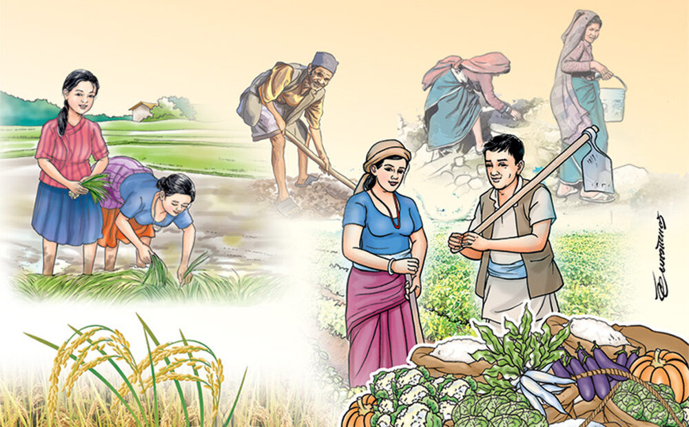 निर्वाचनको माहौलबिच किसानलाई खेतीपातीको चटारो