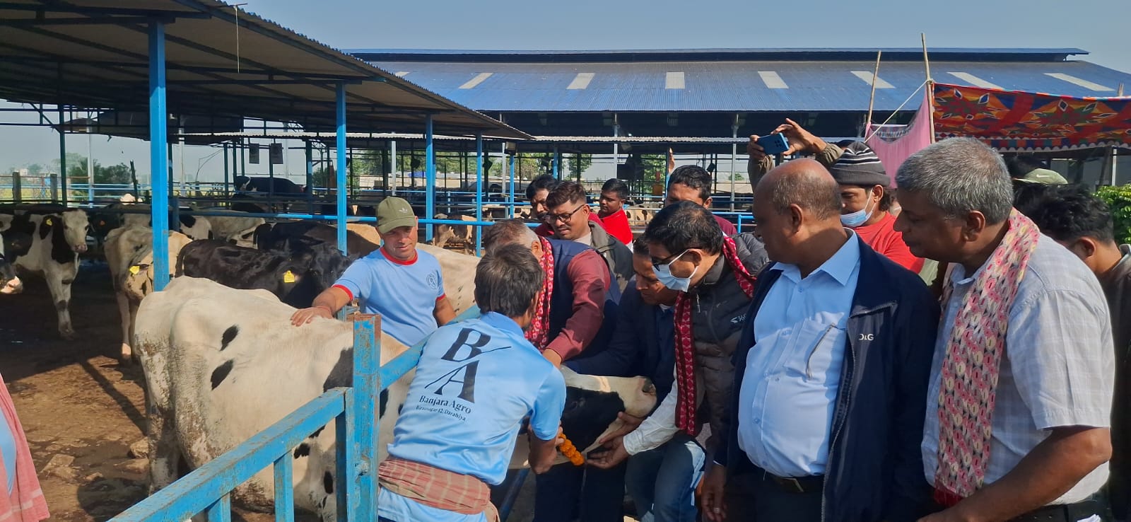 कोशी प्रदेश खोरेतमुक्त अभियानः गाई–भैँसीलाई निःशुल्क खोप