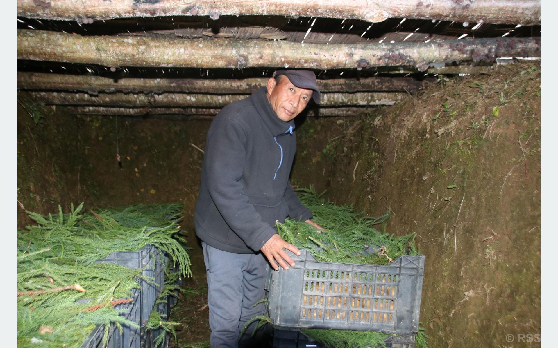 प्राकृतिक शीतभण्डारमा किबी भण्डारण